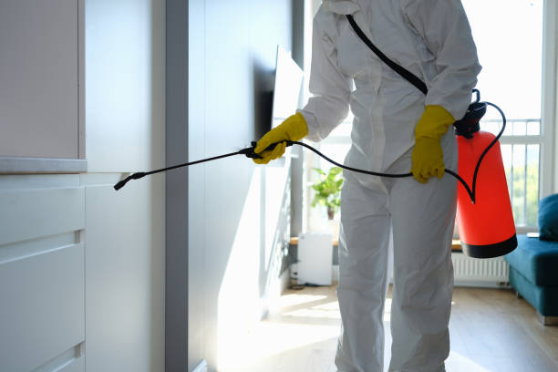 Best Mold Removal Near Me  in Pleasantdale, NJ