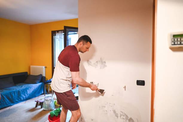 Best Mold Damage Repair  in Pleasantdale, NJ