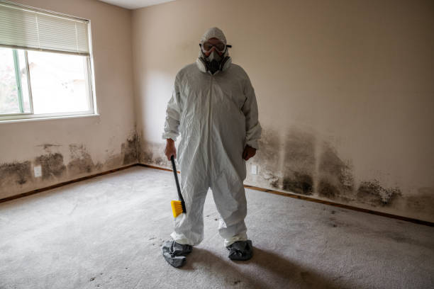 Best Mold Removal and Inspection  in Pleasantdale, NJ